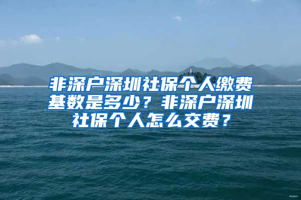 非深户深圳社保个人缴费基数是多少？非深户深圳社保个人怎么交费？