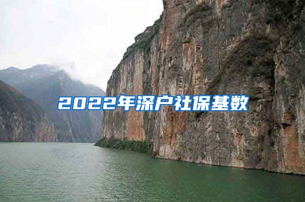 2022年深户社保基数