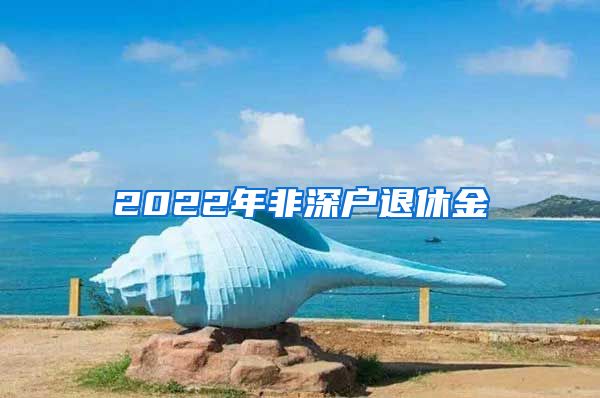 2022年非深户退休金