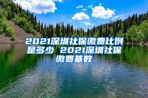 2021深圳社保缴费比例是多少 2021深圳社保缴费基数