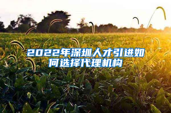 2022年深圳人才引进如何选择代理机构