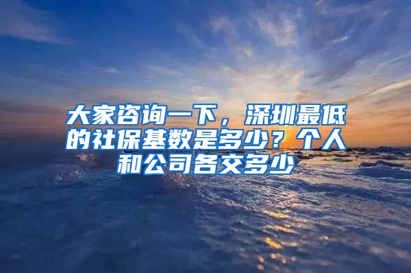 大家咨询一下，深圳最低的社保基数是多少？个人和公司各交多少