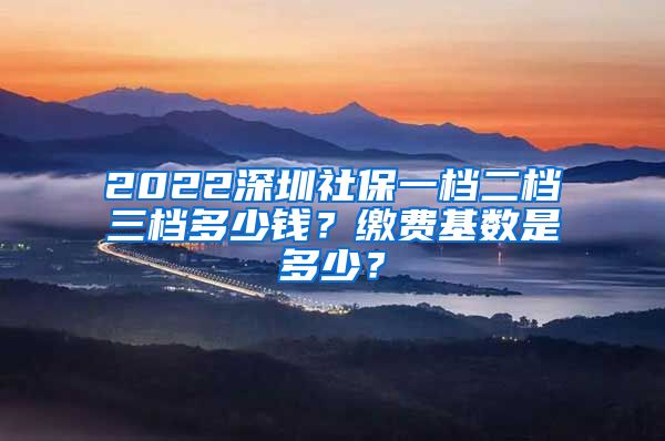 2022深圳社保一档二档三档多少钱？缴费基数是多少？