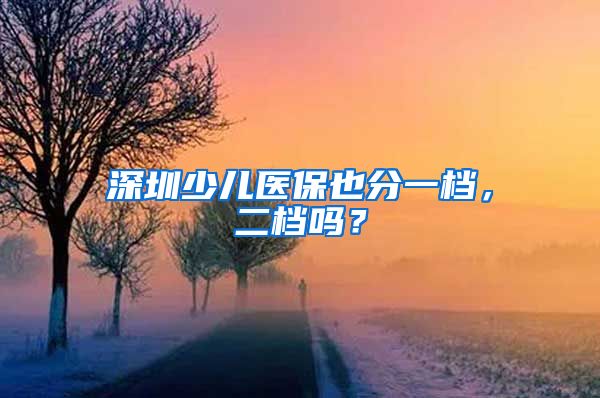 深圳少儿医保也分一档，二档吗？