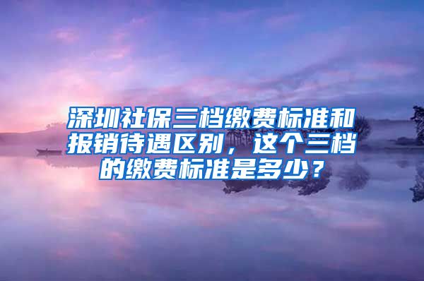 深圳社保三档缴费标准和报销待遇区别，这个三档的缴费标准是多少？