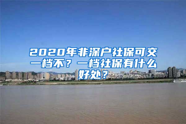 2020年非深户社保可交一档不？一档社保有什么好处？