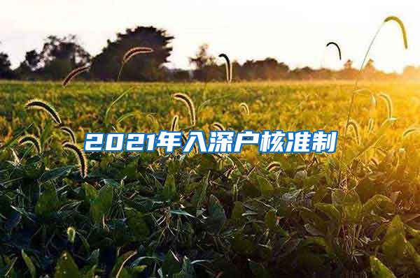 2021年入深户核准制