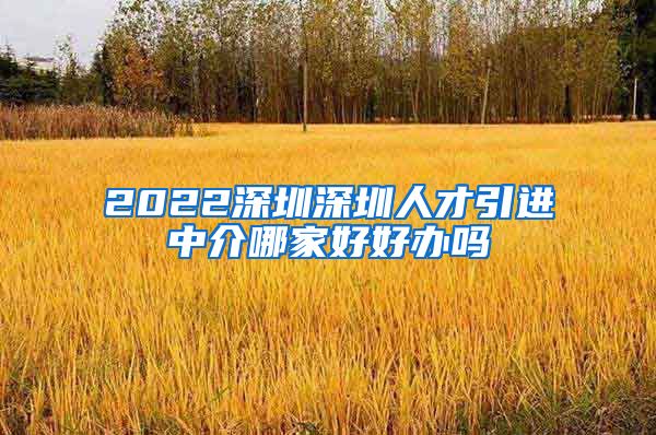 2022深圳深圳人才引进中介哪家好好办吗