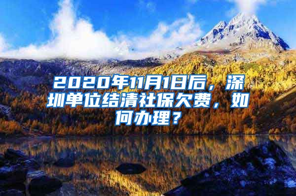 2020年11月1日后，深圳单位结清社保欠费，如何办理？