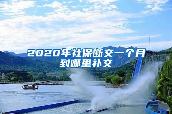 2020年社保断交一个月到哪里补交