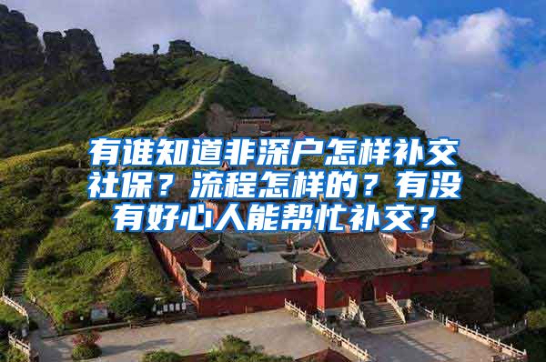 有谁知道非深户怎样补交社保？流程怎样的？有没有好心人能帮忙补交？