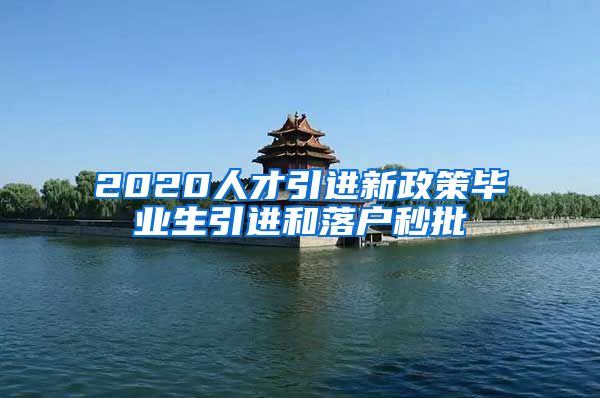 2020人才引进新政策毕业生引进和落户秒批