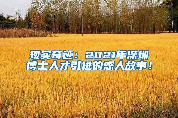 现实奇迹：2021年深圳博士人才引进的感人故事！