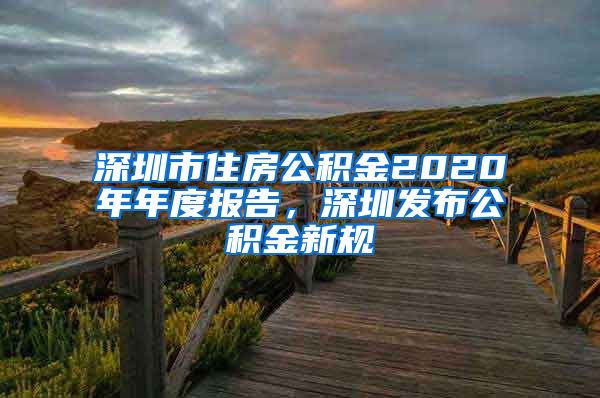 深圳市住房公积金2020年年度报告，深圳发布公积金新规