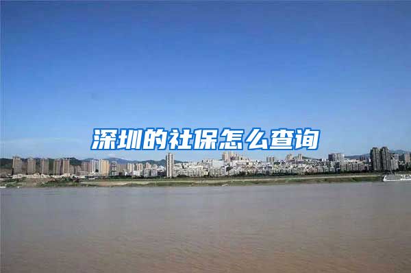 深圳的社保怎么查询