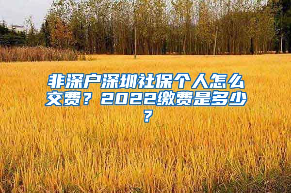 非深户深圳社保个人怎么交费？2022缴费是多少？