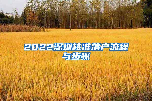 2022深圳核准落户流程与步骤