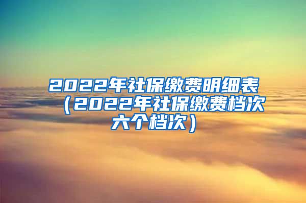 2022年社保缴费明细表（2022年社保缴费档次六个档次）