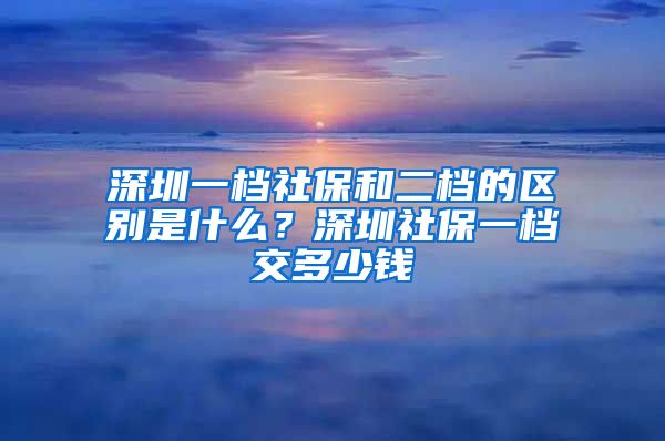 深圳一档社保和二档的区别是什么？深圳社保一档交多少钱