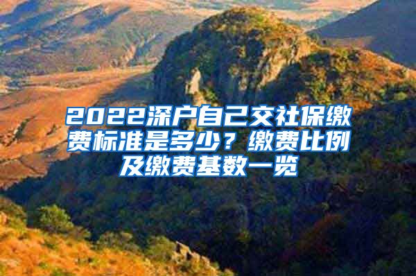 2022深户自己交社保缴费标准是多少？缴费比例及缴费基数一览