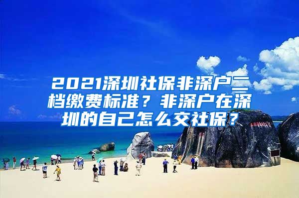 2021深圳社保非深户二档缴费标准？非深户在深圳的自己怎么交社保？