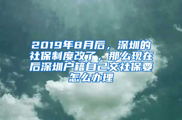 2019年8月后，深圳的社保制度改了，那么现在后深圳户籍自己交社保要怎么办理