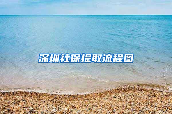 深圳社保提取流程图