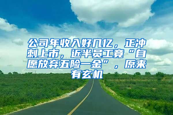 公司年收入好几亿，正冲刺上市，近半员工竟“自愿放弃五险一金”，原来有玄机