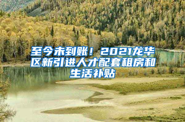 至今未到账！2021龙华区新引进人才配套租房和生活补贴