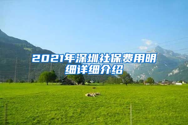 2021年深圳社保费用明细详细介绍