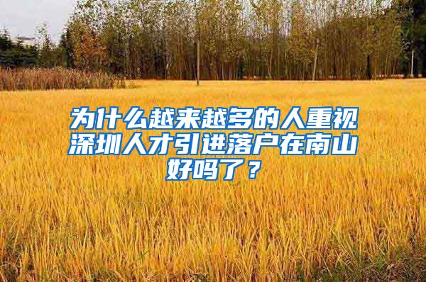 为什么越来越多的人重视深圳人才引进落户在南山好吗了？