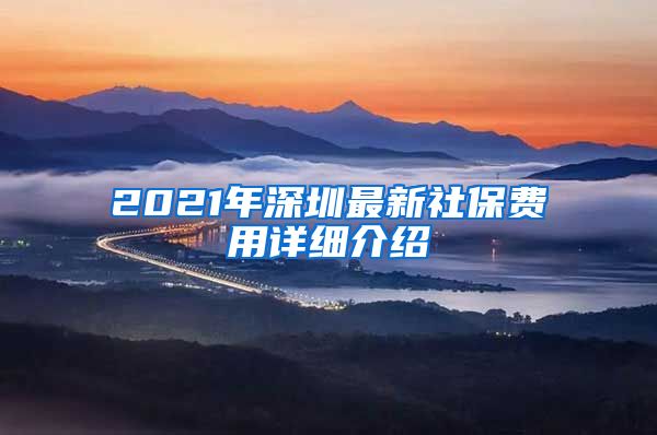 2021年深圳最新社保费用详细介绍