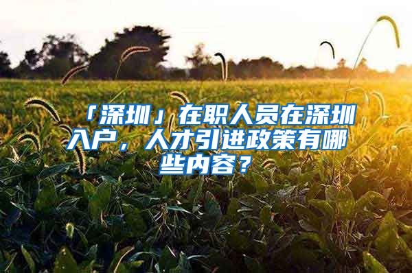 「深圳」在职人员在深圳入户，人才引进政策有哪些内容？