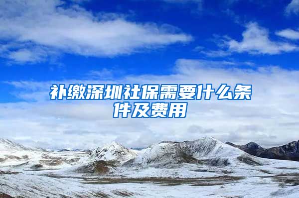 补缴深圳社保需要什么条件及费用