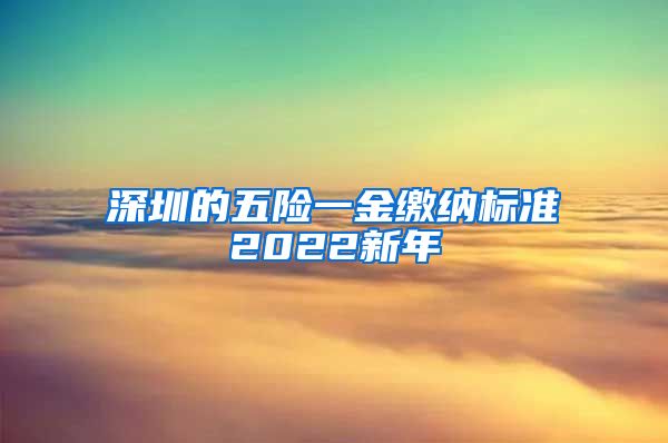 深圳的五险一金缴纳标准2022新年