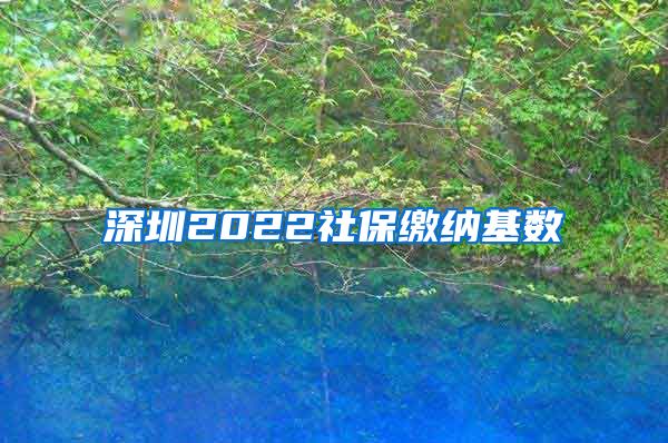 深圳2022社保缴纳基数