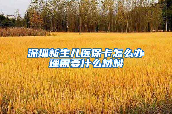 深圳新生儿医保卡怎么办理需要什么材料