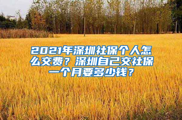 2021年深圳社保个人怎么交费？深圳自己交社保一个月要多少钱？