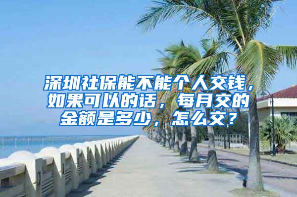 深圳社保能不能个人交钱，如果可以的话，每月交的金额是多少，怎么交？