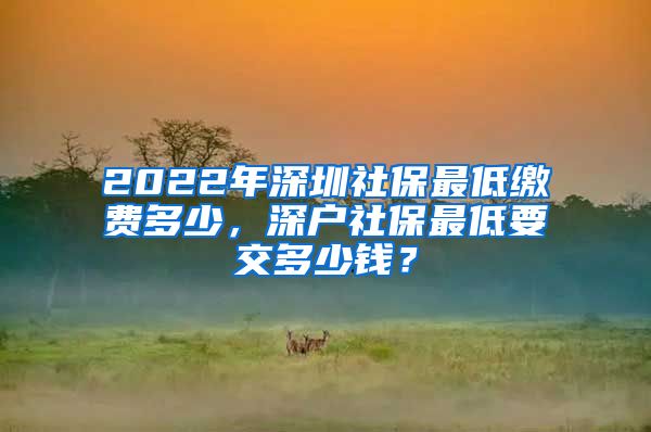 2022年深圳社保最低缴费多少，深户社保最低要交多少钱？