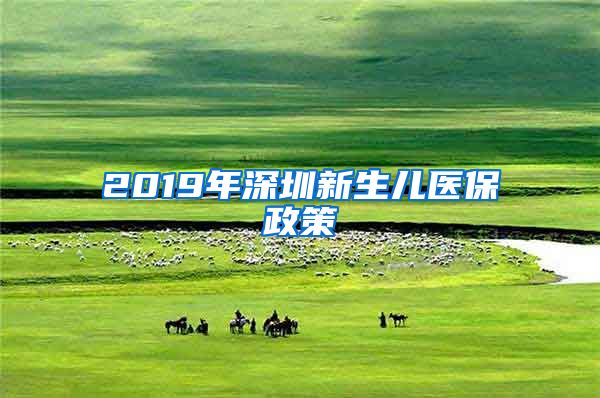 2019年深圳新生儿医保政策