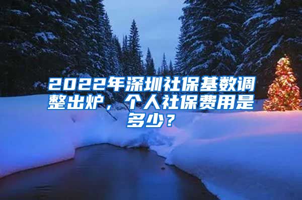 2022年深圳社保基数调整出炉，个人社保费用是多少？