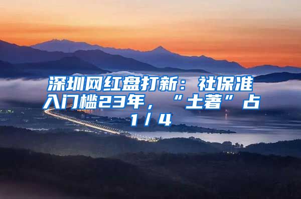 深圳网红盘打新：社保准入门槛23年，“土著”占1／4