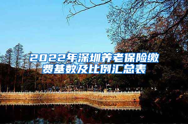 2022年深圳养老保险缴费基数及比例汇总表