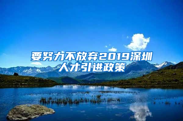 要努力不放弃2019深圳人才引进政策