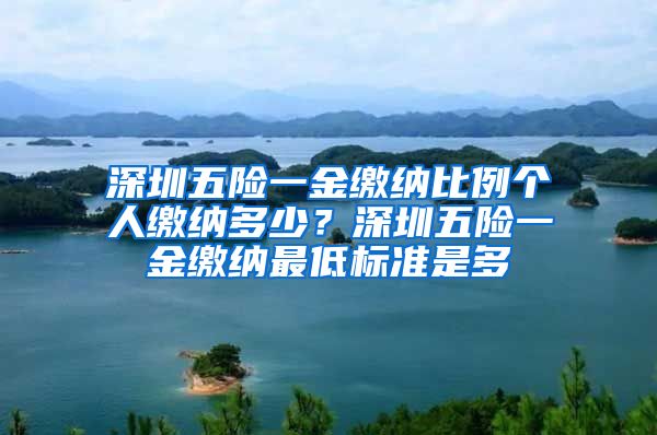 深圳五险一金缴纳比例个人缴纳多少？深圳五险一金缴纳最低标准是多