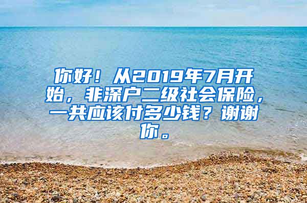 你好！从2019年7月开始，非深户二级社会保险，一共应该付多少钱？谢谢你。