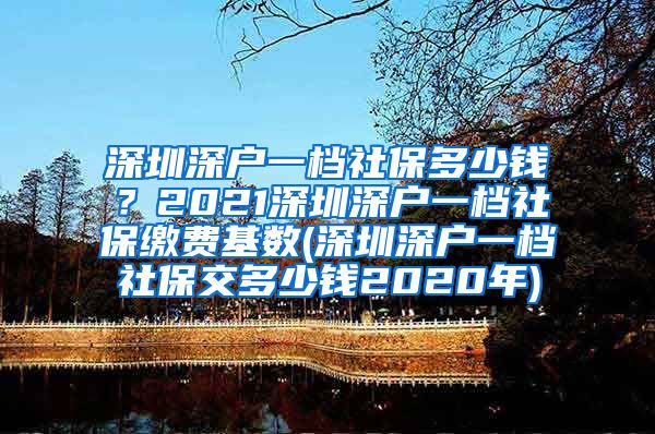 深圳深户一档社保多少钱？2021深圳深户一档社保缴费基数(深圳深户一档社保交多少钱2020年)