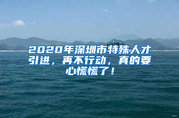 2020年深圳市特殊人才引进，再不行动，真的要心慌慌了！