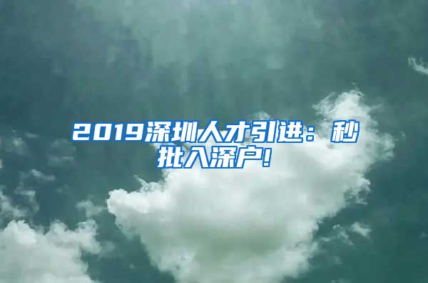 2019深圳人才引进：秒批入深户!